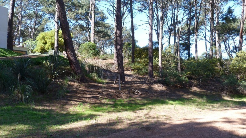 Terreno en una zona muy linda del Club del Lago con 1343 m2